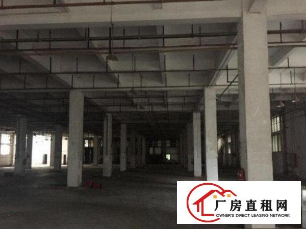 
平湖富民工业区标准厂房一楼1000平精装修招租