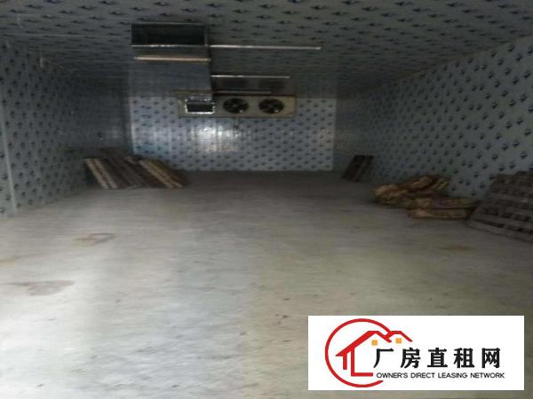 
平湖白泥坑新现成装修出租，转租带库一楼330平起