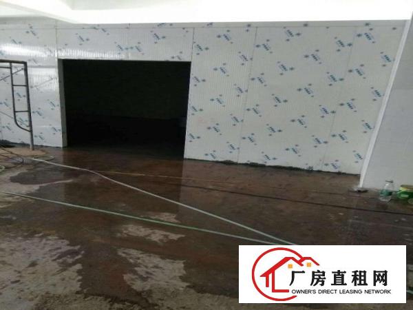 
平湖白泥坑新现成装修出租，转租带库一楼330平起