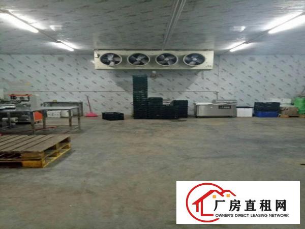 
平湖白泥坑新现成装修出租，转租带库一楼330平起