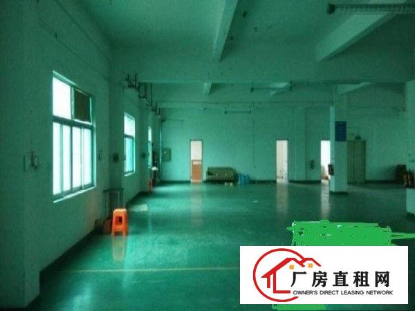 
平湖白泥坑主干道新出450平一楼租，紧靠主干道