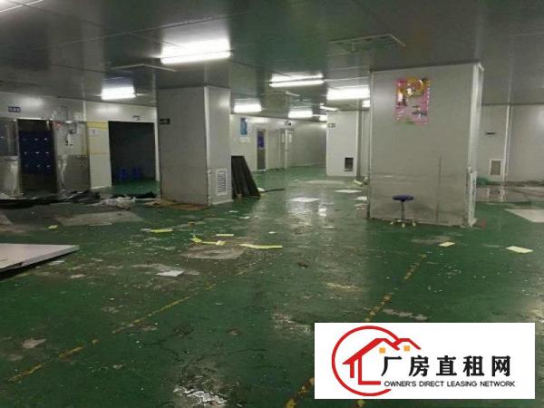 
凤岗独栋厂房14层，单层面积5600平方