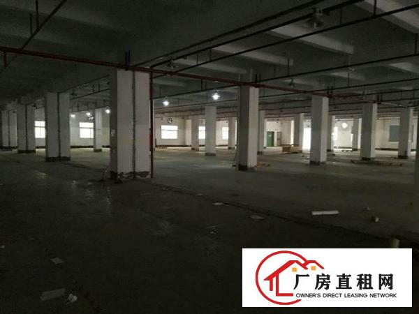 
凤岗独栋厂房14层，单层面积5600平方