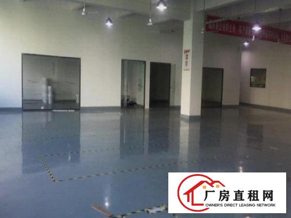 
近大洋田一楼1400平方带装修厂房出租，可分租