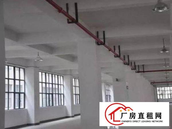 
平湖鹅公岭附近先有独栋二楼三楼各1000平方厂房出租，可分租