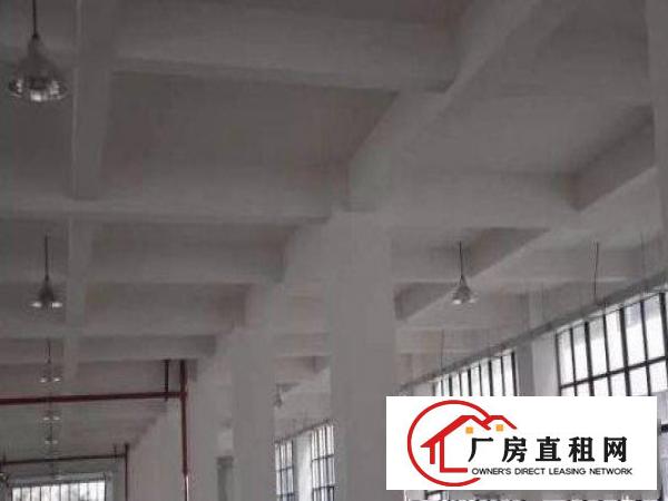 
平湖鹅公岭附近先有独栋二楼三楼各1000平方厂房出租，可分租