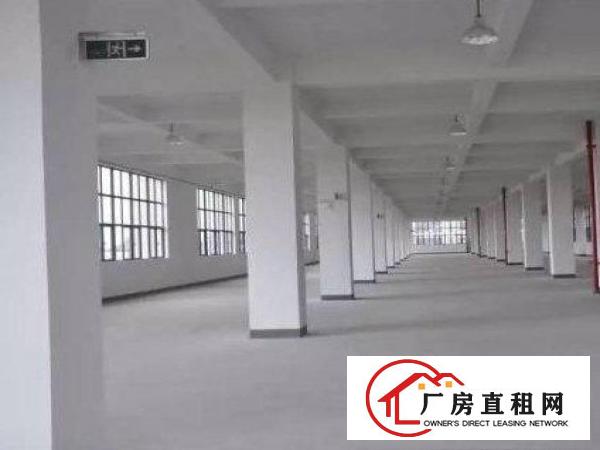 
平湖鹅公岭附近先有独栋二楼三楼各1000平方厂房出租，可分租
