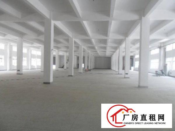 
平湖鹅公岭1500方标准三楼厂房出租，方正实用