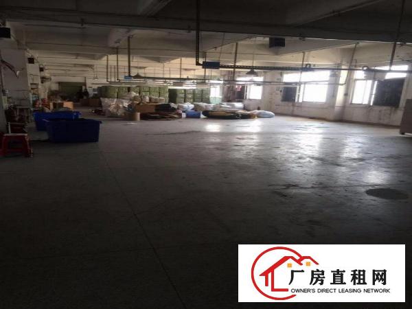 
华南城任屋村200-800平方靠主路交通方便好招工面积实在