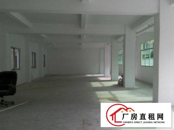 
平湖新南850平方标准一楼厂房出租，现成装修