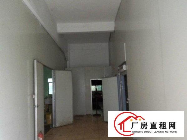 
平湖新南850平方标准一楼厂房出租，现成装修