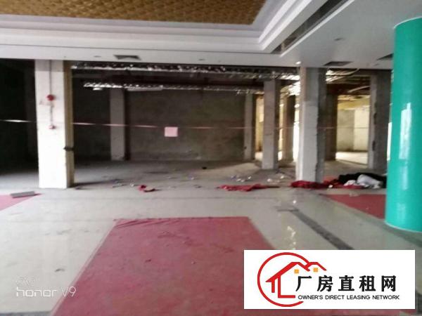 
平湖7层整栋公寓招租投资，就在地铁站，火车站旁边,速度来看