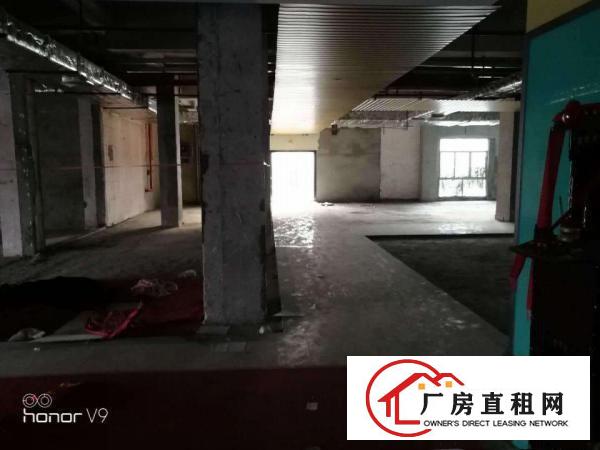 
平湖7层整栋公寓招租投资，就在地铁站，火车站旁边,速度来看