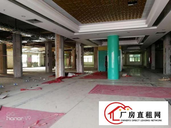 
平湖7层整栋公寓招租投资，就在地铁站，火车站旁边,速度来看