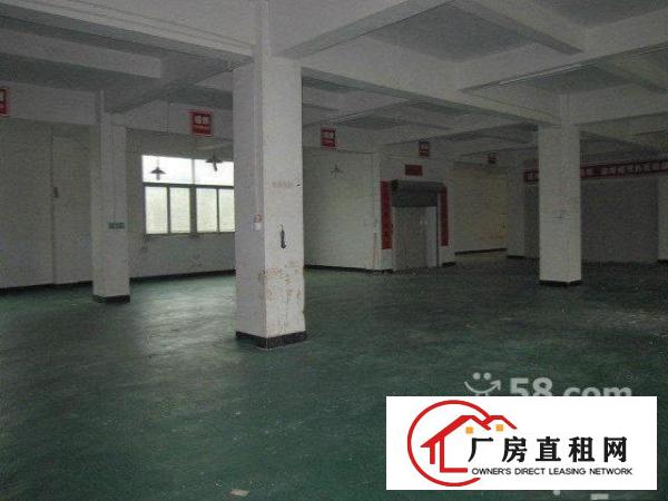 
平湖华南城高速路口750平带吊车厂房租，适合塑胶