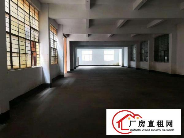 
凤凰大道附近独院4500平米厂房招租，只要17元