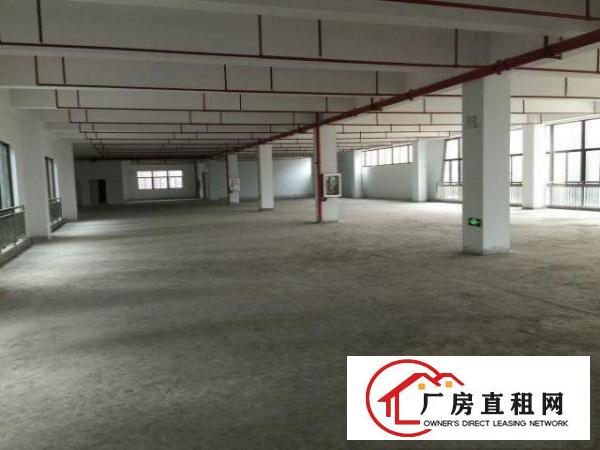 
龙岗区平湖平湖辅城坳独院厂房6500m²