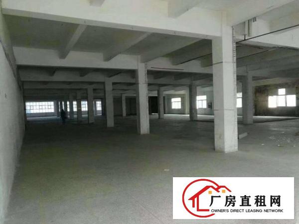 
出租龙岗区平湖鹅公岭工业区厂房