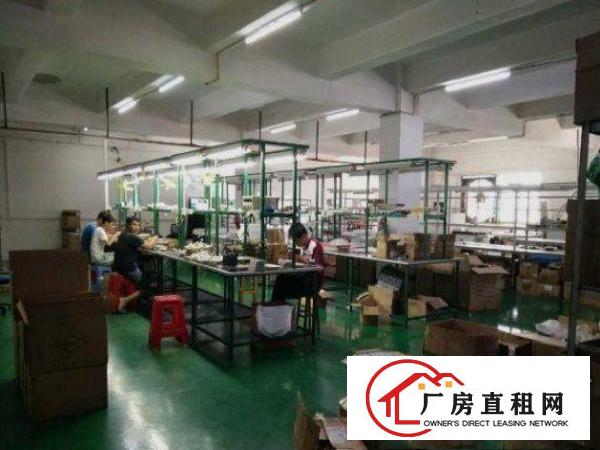 
平湖鹅公岭1200平二楼带装修厂房原房东直租
