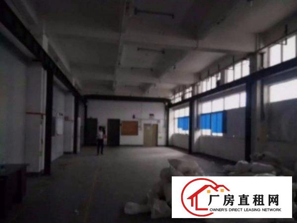 
平湖新木村标准厂房一楼2000平出租水电齐全空地大交通方便