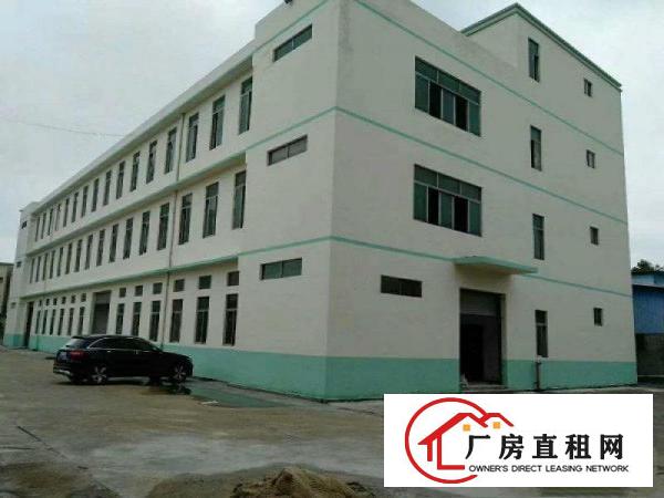 
平湖大望工业区附近新出1300平米一楼厂房招租