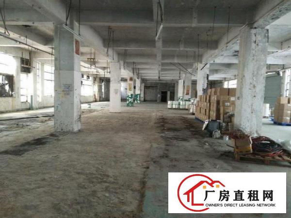 
平湖大望工业区附近新出1300平米一楼厂房招租
