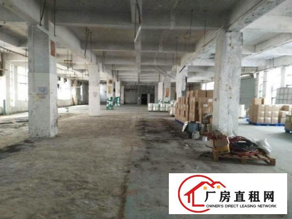 
平湖大望工业区附近新出1300平米一楼厂房招租
