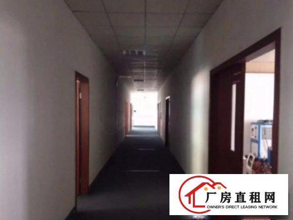 
平湖新厦标准厂房一楼1200平形象好原房东无公摊带精装修