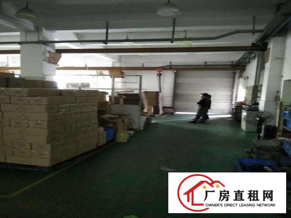 
平湖广场附近1100平方完全独门独院一楼出租，适合塑胶五金