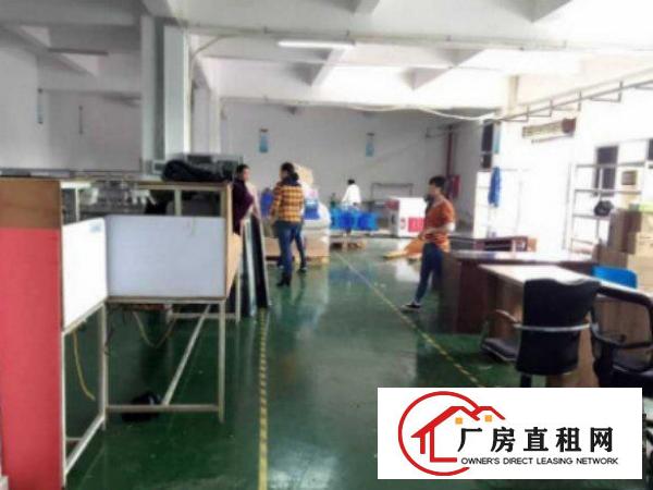 
平湖白泥坑独院标准厂房一楼700平出租带精装修临近主干道