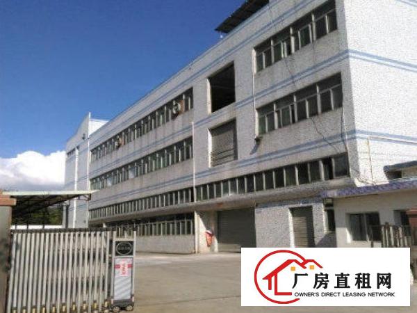
龙岗区平湖新木村标准一楼1600平方招租