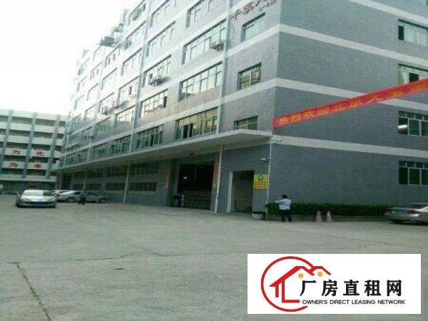 
平湖新木原房东低价厂房出租厂房1200平米