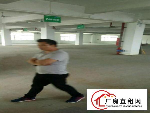 
平湖新木原房东低价厂房出租厂房1200平米