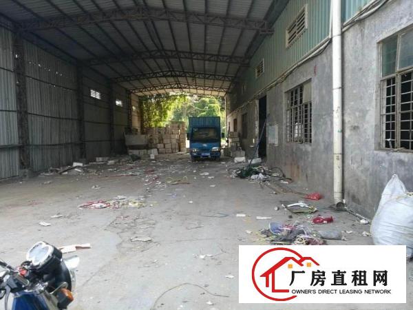 
龙岗新出1楼800平方钢构厂房出租零公摊