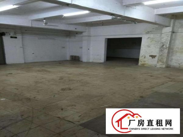 
平湖白泥坑路口160平320平楼上厂房仓库，水电齐