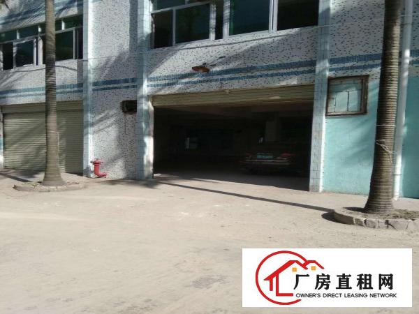 
平湖白泥坑路口160平320平楼上厂房仓库，水电齐