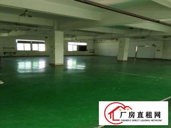 
平湖白泥坑路口160平320平楼上厂房仓库，水电齐