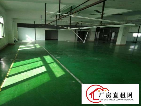 
平湖白泥坑路口160平320平楼上厂房仓库，水电齐