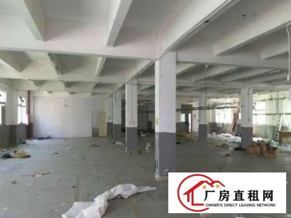 
平湖华南城旁精品三层独院3200平方米出租
