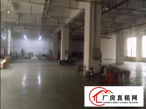 
平湖鹅公岭大型工业园区新出超豪华办公室标准一楼2200平
