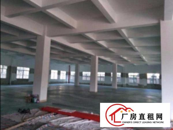 
平湖工业园全新标准独院厂房面积2000平方水电齐全
