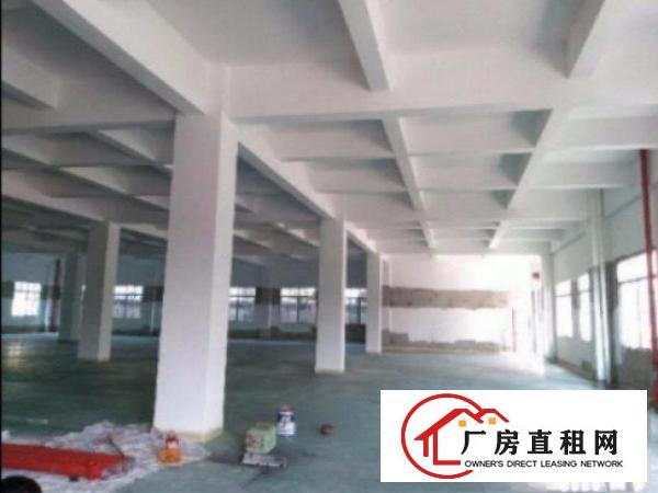 
平湖工业园全新标准独院厂房面积2000平方水电齐全