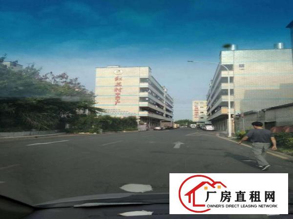 
平湖广场附近1100平方独院一楼出租，适合五金塑胶