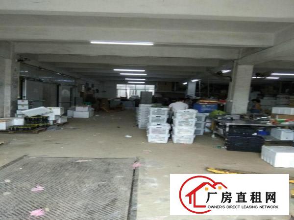 
求租白泥坑海吉星大小冷库，仓库的请进，新详细信息