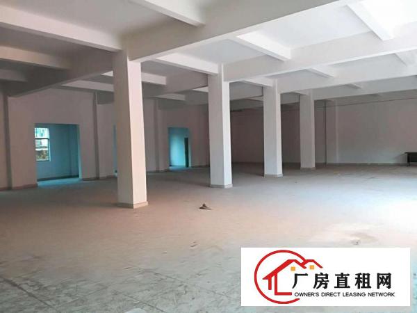 
平湖大皇宫附近全新厂房出租