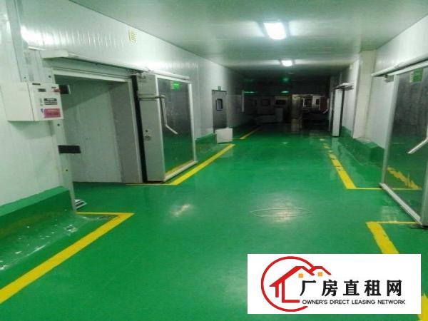 
平湖白泥坑新大小厂房，仓库出租信息60平方起租