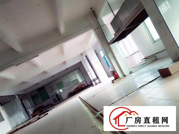 
出租龙岗平湖白泥坑中央厨房500平方