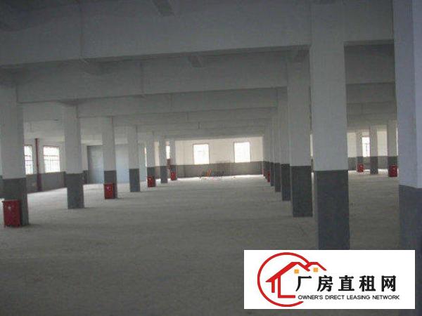 
平湖良安标准一楼1000平方厂房水电齐全直租