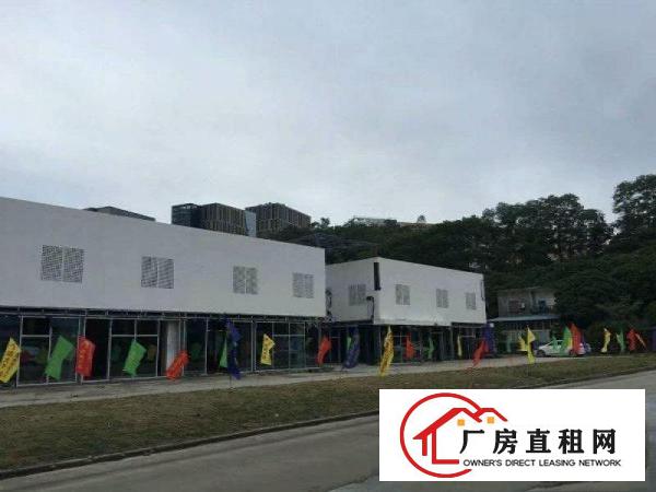 
平湖独院厂房招租有空地层高45.5米可分组