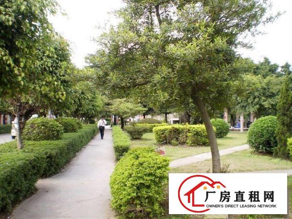 
平湖富民工业区楼上600平方手袋厂分租厂房，现成设备。